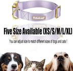 Nylon Dog Collar - Image 6