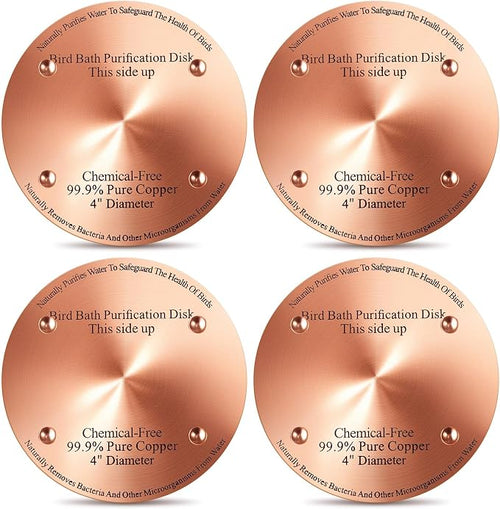 4 Pcs Bird Bath Copper Disk, 0.6mm Thick Reinforced 99.99% Pure Copper Birdbath by Unknown