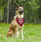 Dog Bandana, Emotional Support Animal Dog Bandana, Dogs Scarf Classical Printing - Image 4
