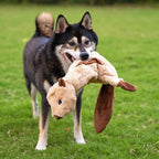 Best Pet Supplies Squeaky Dog Toys - Image 6