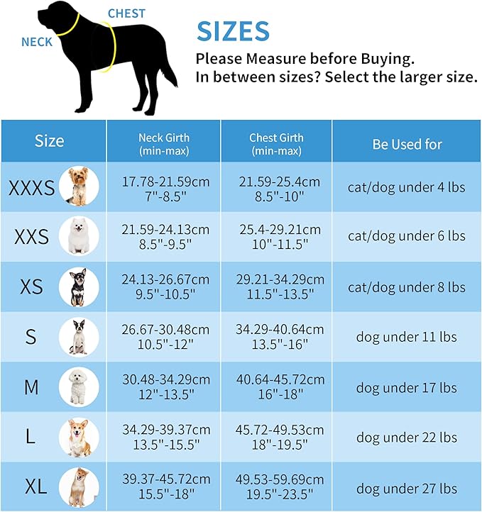AIITLE No Pull Dog Harness and Leash Set, Step in Adjustable Dog Harness - Image 3