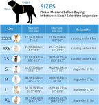 AIITLE Comfortable Dog Harness and Leash Set - Image 11