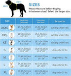 AIITLE Comfortable Dog Harness and Leash Set - Image 5