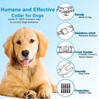 Prong Collar for Dogs, Dog Training Collar, Adjustable Size Dog Pinch No Pull - Image 3