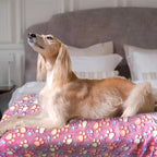 Dog Blankets for Large Dogs, Soft Fluffy Flannel Pet Blanket Mat Cover for Bed - Image 7