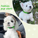 Medium Dog Collars for Male Dogs, Boy Dog Collars - Image 5
