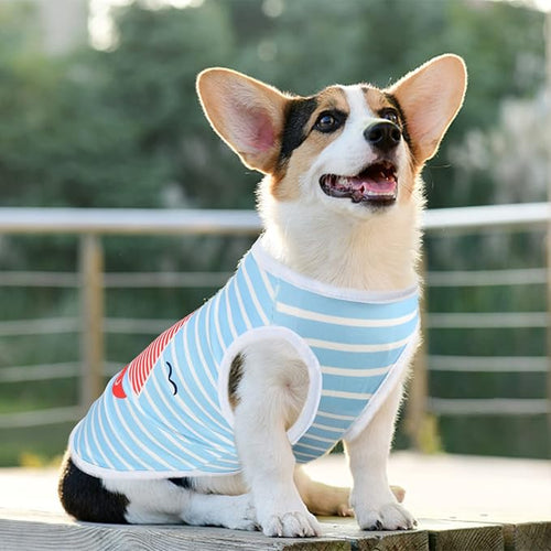 4Pcs Dog & Cat Shirts - Image 2