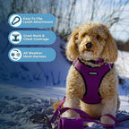Best Pet Supplies - Image 3
