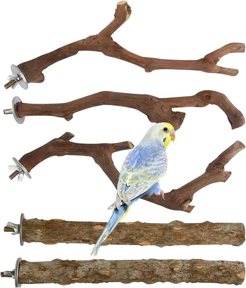 5 PCS Wood Bird Perches, Natural Grape Wood Branches by Homaisson