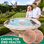 2 Pcs Bird Bath Copper Disk | 99.99% Pure Copper Plate & Birdbath Disk | 0.6mm - Image 7