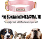 Nylon Dog Collar - Image 7
