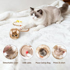 Migipaws Interactive MigiMouse Cat Toy 360° Rolling & Spin - Image 6