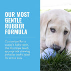 KONG - Puppy Toy - Natural Teething Rubber - Fun to Chew, Chase and Fetch - Image 4