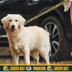 NFL PET Collar Green Bay Packers Dog Collar, Medium Football Team Collar - Image 4
