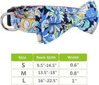 Faleela Cute Soft Girl Dog Collar - Image 6