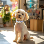 Floral Dog Collar for Small Dogs - Image 5