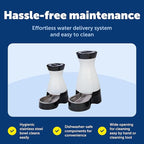 PetSafe Healthy Pet Water Station - Image 6
