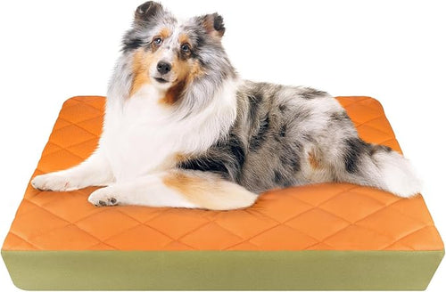 35.5" x 23.5" x 4.7" Large Orthopedic Dog Beds, Waterproof Faux Leather Memory by PawLibero