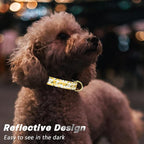 Reflective Dog Collar for Medium Dogs, Cute Flower Theme Adjustable Heavy-Duty - Image 3
