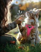 FAYOGOO Cat Harness, Cat Leash and Harness Set - Image 7