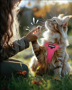 FAYOGOO Cat Harness and Leash Set | Upgrade Step-in Escape Proof Harness | - Image 7