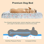 Fluffy Orthopedic Dog Beds for Small Dogs - Image 4