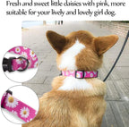 QQPETS Adjustable Soft Dog Collar: Print Flower Pink Multicolor Cute Patterns - Image 8