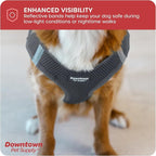 Downtown Pet Supply Step-in Dog Harness – No Pull, Adjustable Padded Mesh - Image 7