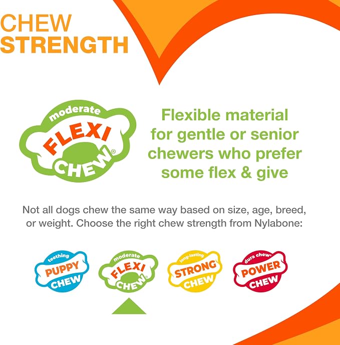 Nylabone Original Bone Flexi Chew Toy - Image 4