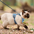 Cat Harness, Cat Harness and Leash - Image 5