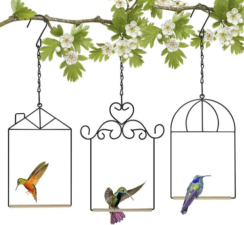 3PK Metal Frame Hummingbird Swings and Perches by XYADX