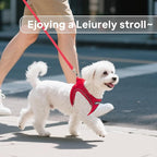 PetiFine Step in Small Dog Harness and Leash Set, Breathable All Weather Air - Image 7