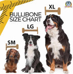 Bullibone Nylon Dog Chew Toy for Aggressive Chewers - Image 6