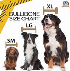 Bullibone Nylon Dog Chew Toy for Aggressive Chewers - Image 8