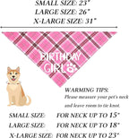 STMK Dog Birthday Outfits - Image 5