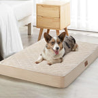 WNPETHOME Orthopedic Giant Dog Beds Large Sized Dog, Waterproof Extra Large by WNPETHOMEPETSHOME