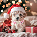 Christmas Dog Collar for Large Dogs - Image 7