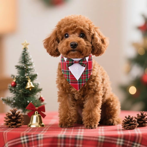 ADOGGYGO Christmas Dog Tuxedo Bandana, Adjustable Christmas Costume - Image 2