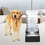 RIZZARI Stainless Steel Pet Water Feeder: 10L Gravity Leak-Proof Auto Refill - Image 7