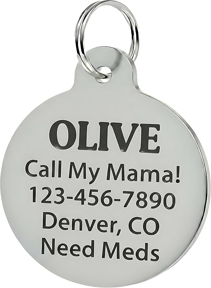 Bad Tags Personalized Dog and Cat ID Tags in 25+ Designs and 2 Sizes - Image 3