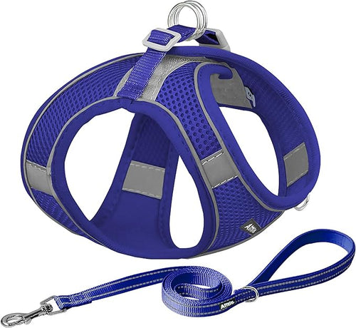 AIITLE No Pull Dog Harness and Leash Set, Step in Adjustable Dog Harness by AIITLE-FORPETSBETTERLIFE