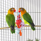 Hypeety Bird Parrot Foot Toy Chewing Swing Bite Toy Plastic Parrot Toys Bird - Image 7