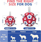 Diman Dog Balls, Dog Soccer Ball - Image 2