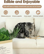 Tocirelo Kitten Chew Toys Teething - Image 4