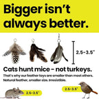 Feather Toys Replacements - Image 4