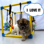 Dewonch Puppy Play Gym with 8 Hanging Toys, Small Dogs Indoor Jungle Gym - Image 6