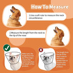 Dog Cone Collar Soft Cone for Medium Dogs After Surgery Adjustable Elizabethan - Image 3