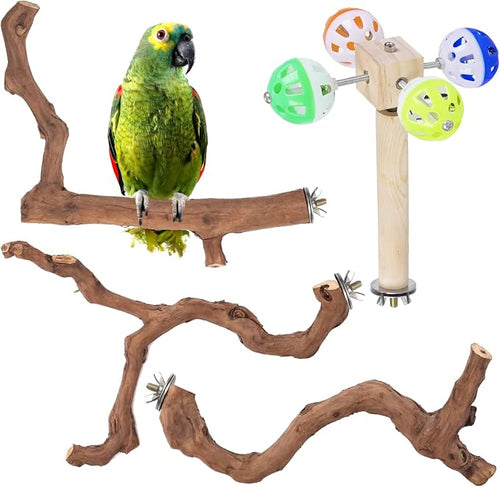 4-Piece Bird Perch Set with Rotating Ball Stand by Matutinus