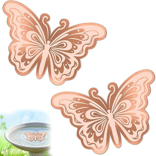 2Pcs Bird Bath Copper Disk, 0.6mm Reinforced 99.9% Pure Copper Cleaning Disk by VeyFolzinst