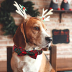 Dog Collar, Christmas Dog Collar Plaid Pet Collar Bow Holiday Bows Girl Boy - Image 6